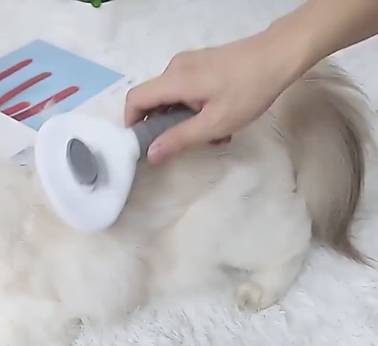 Peigne Auto-Nettoyant pour Animaux – Dépilage Facile